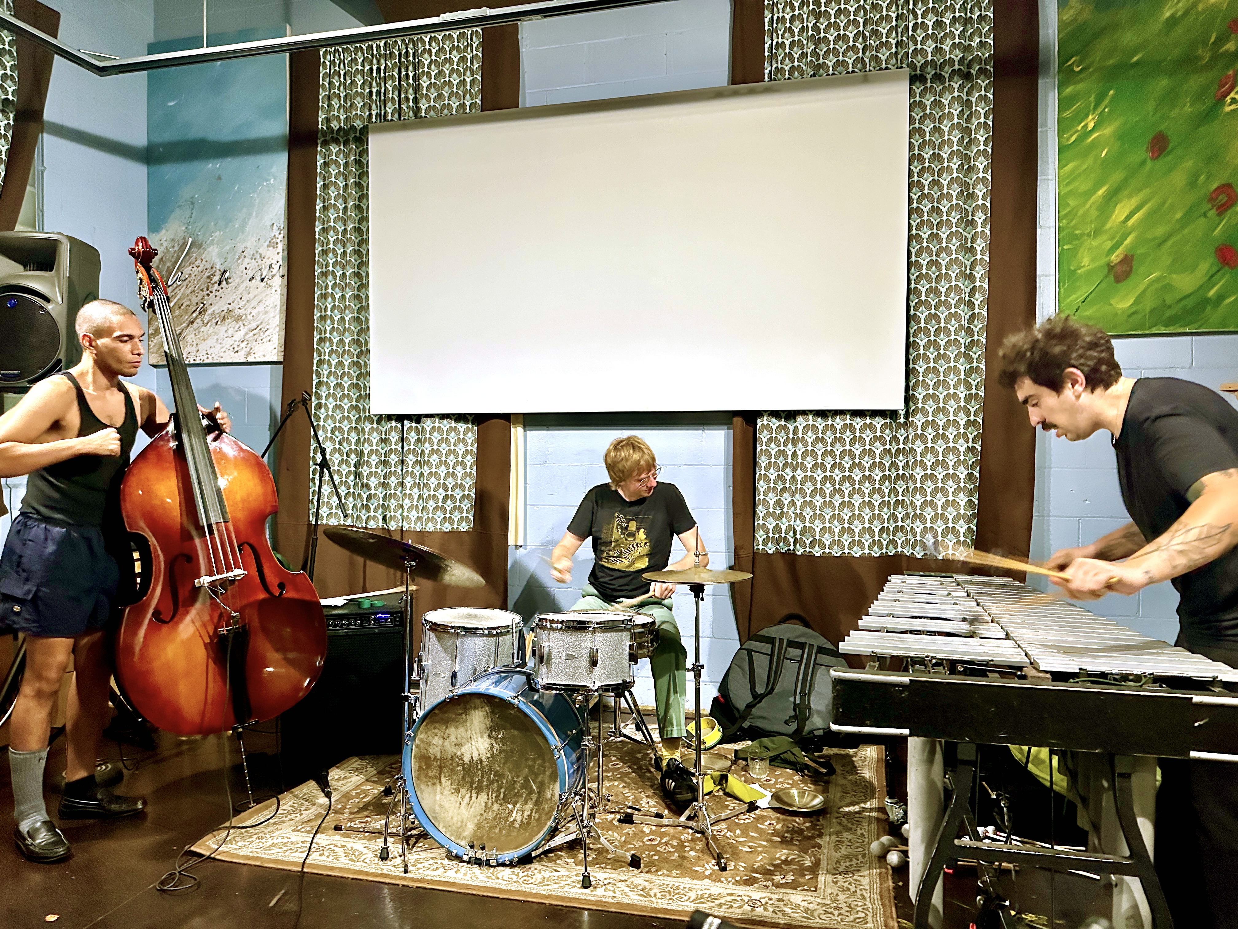 BarkCulture2025-08-12SugarMapleMilwaukeeWI (10).JPG